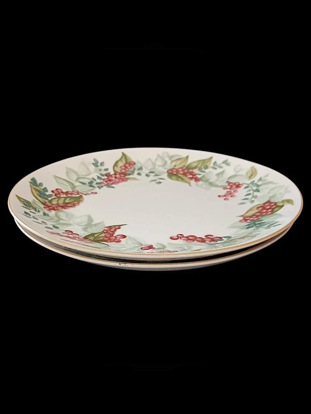 2 Restoration Hardware Festive Berry Plates Salad Side Christmas Botanical RH